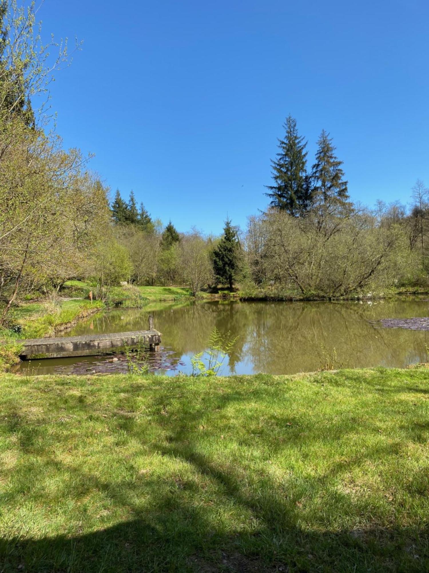 The Goose Nest Luxury Lakeside Shepherd Hut In Cardinham Woods, Cornwall 외부 사진