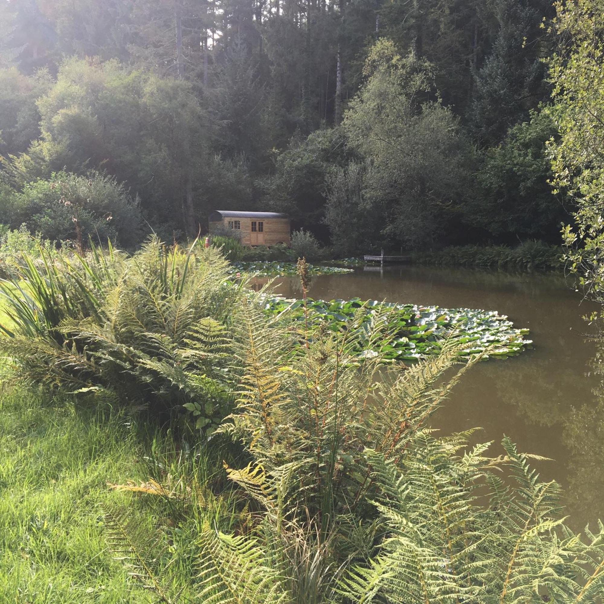 The Goose Nest Luxury Lakeside Shepherd Hut In Cardinham Woods, Cornwall 외부 사진